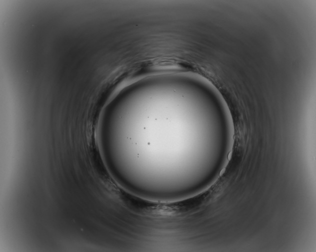 X0000086780656200704201825