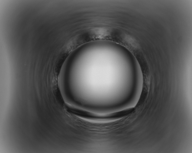 X0000086780657200704201825