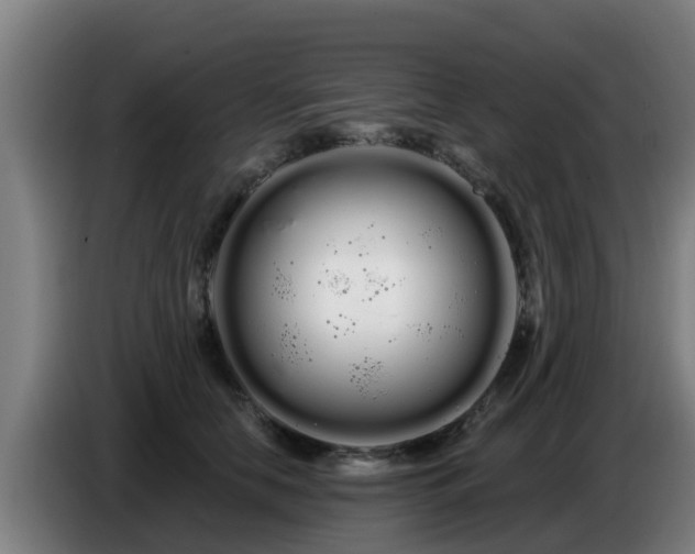 X0000086780658200704201825