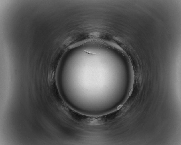 X0000086780660200704201825