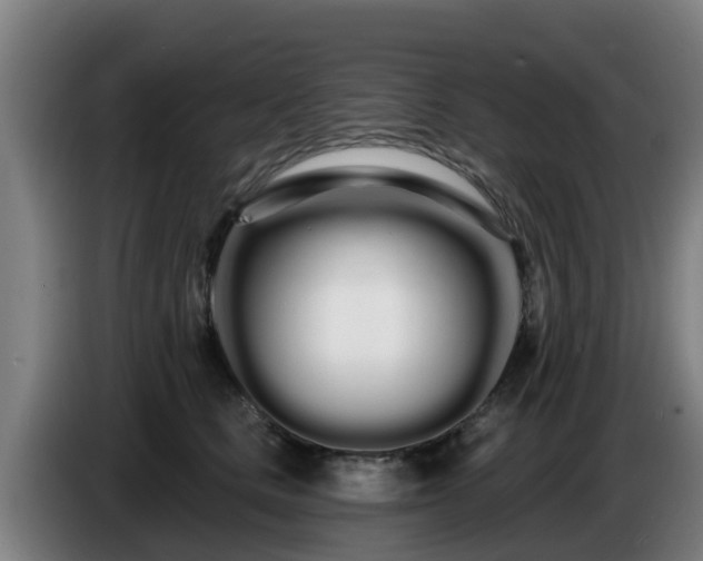 X0000086780661200704201825