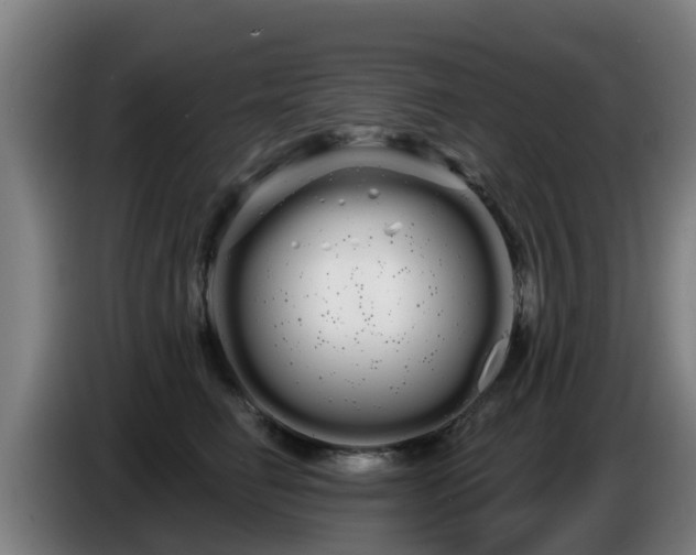 X0000086780662200704201825