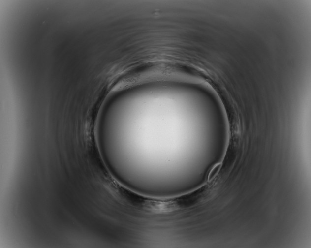 X0000086780663200704201825