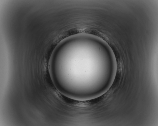 X0000086780664200704201825