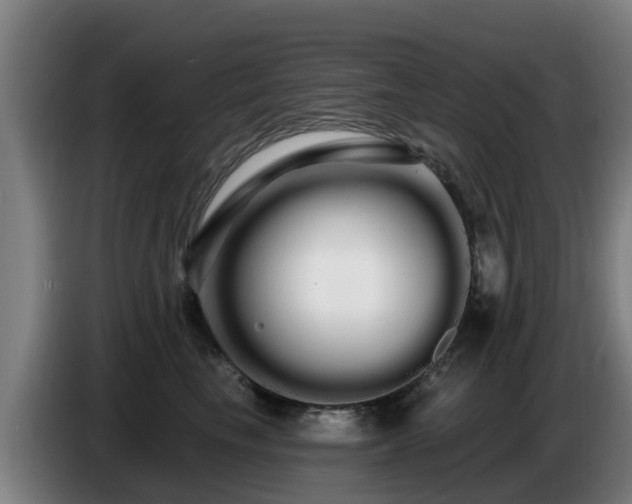 X0000086780665200704201825