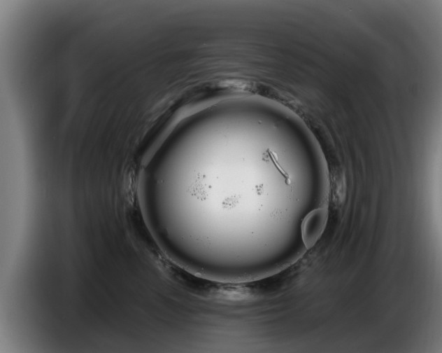 X0000086780666200704201825