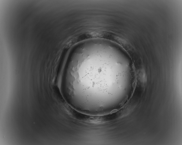 X0000086780667200704201825