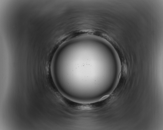 X0000086780668200704201825