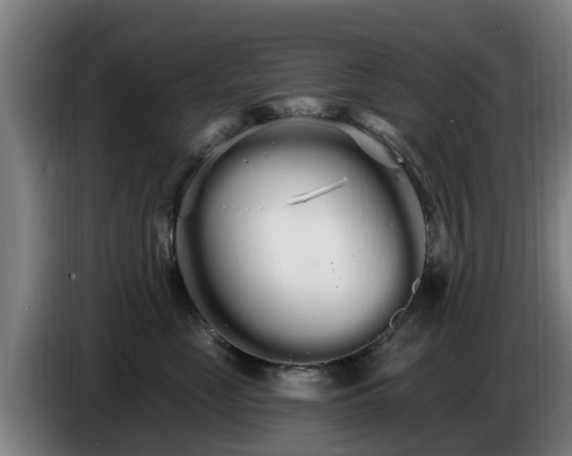 X0000086780669200704201825