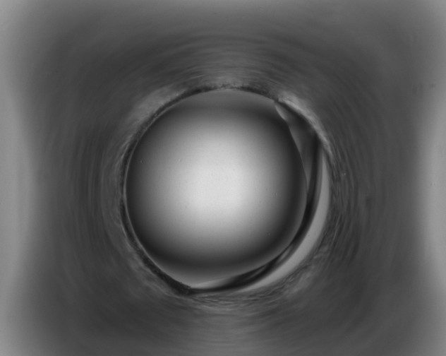 X0000086780673200704201825