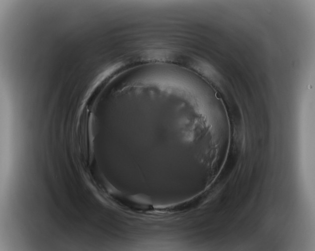 X0000086780674200704201825