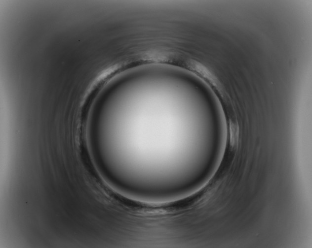 X0000086780675200704201824