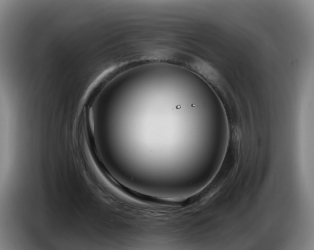 X0000086780676200704201824