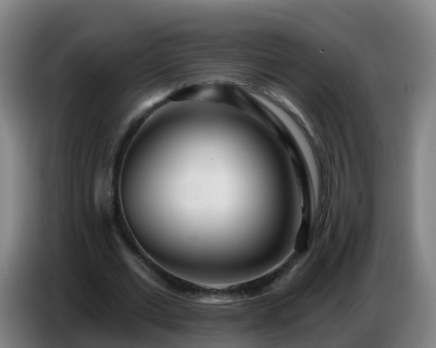 X0000086780677200704201824