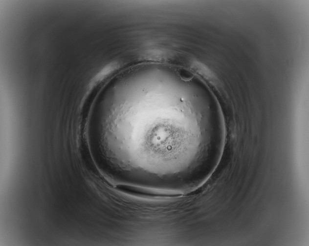 X0000086780679200704201824