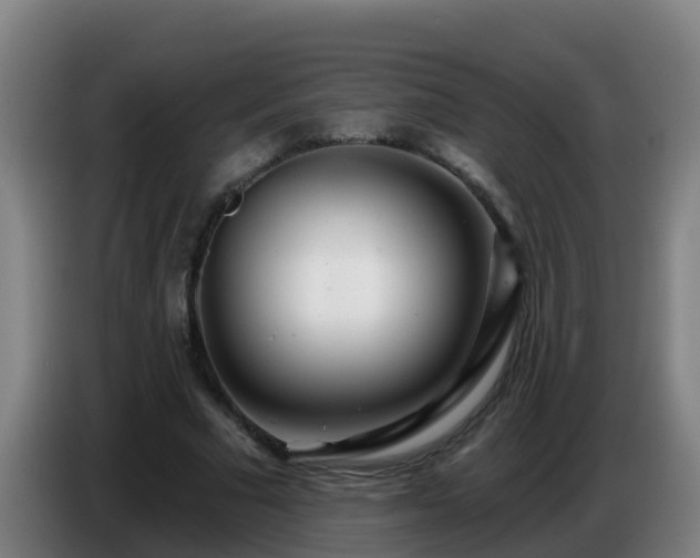 X0000086780681200704201824