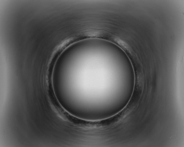 X0000086780682200704201824