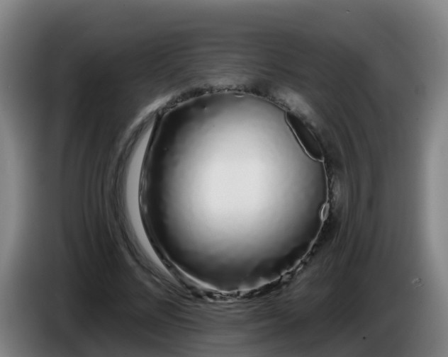 X0000086780684200704201824