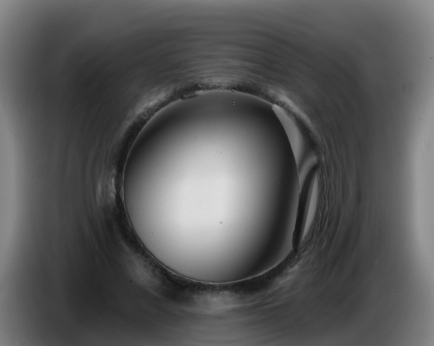 X0000086780685200704201824