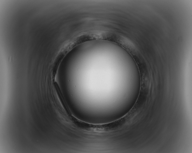 X0000086780694200704201824