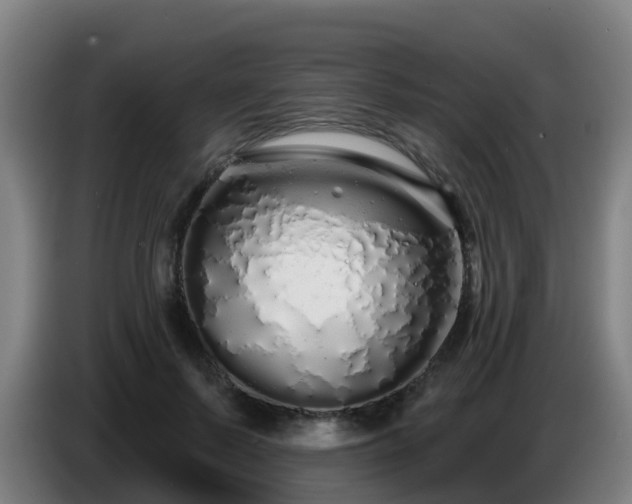 X0000086780695200704201824