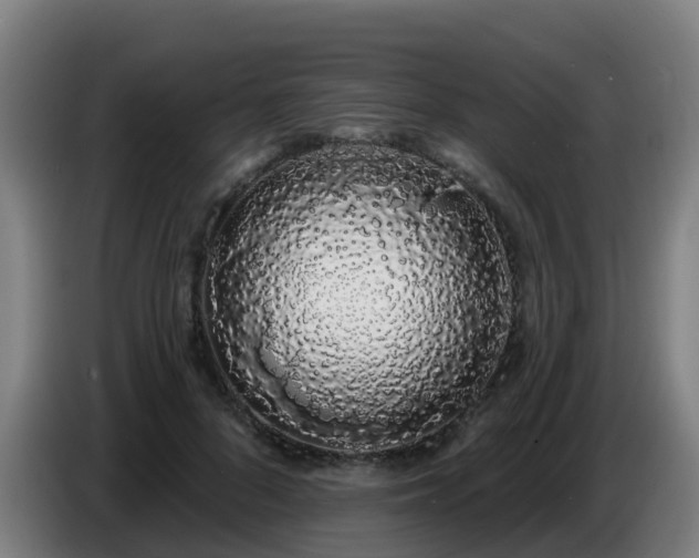 X0000086780696200704201824