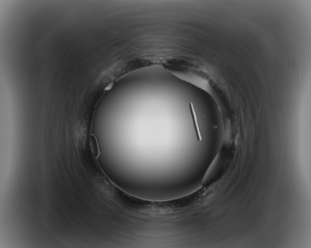 X0000086780697200704201824