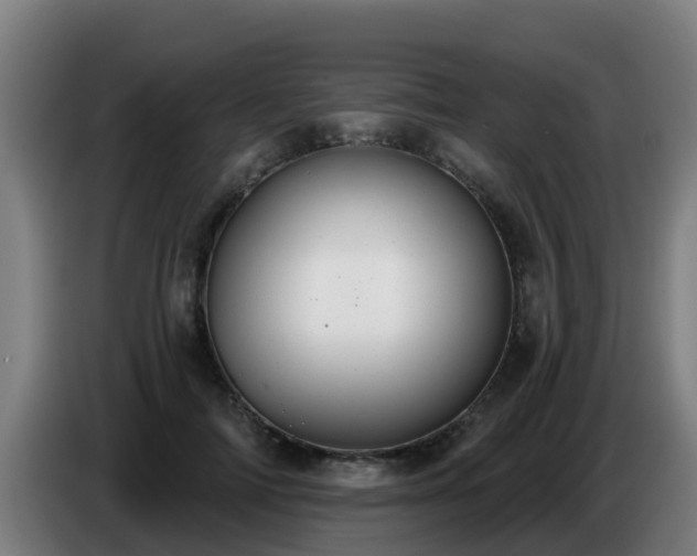 X0000086780698200704201824