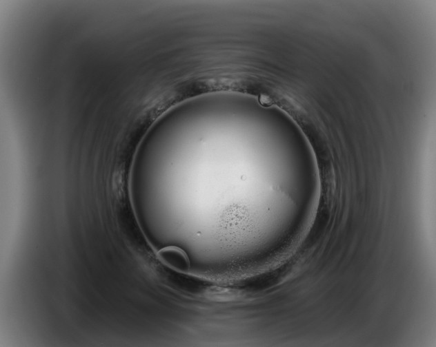 X0000086780699200704201824