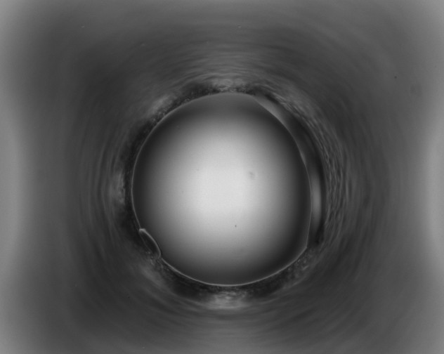 X0000086780700200704201824