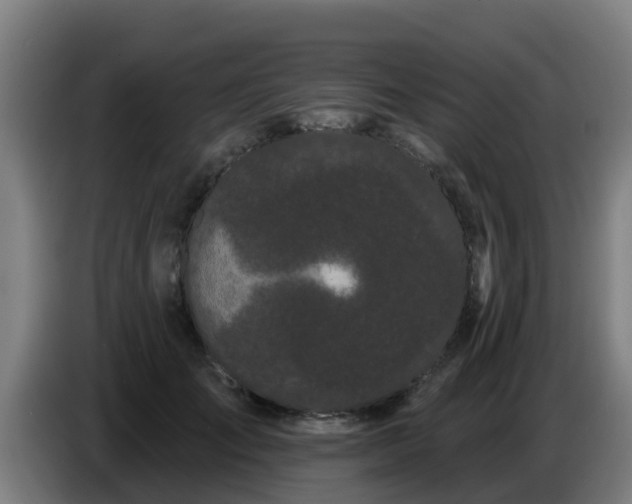 X0000086780701200704201824