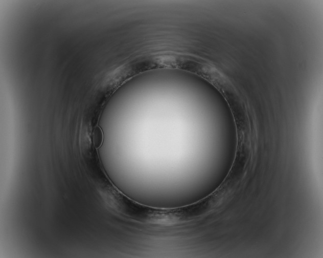 X0000086780702200704201824