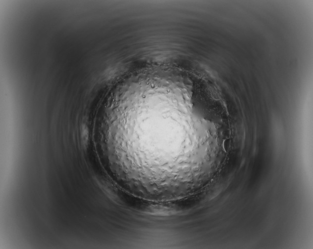 X0000086780703200704201824