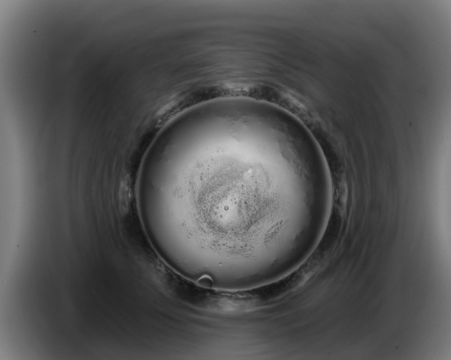 X0000086780707200704201824