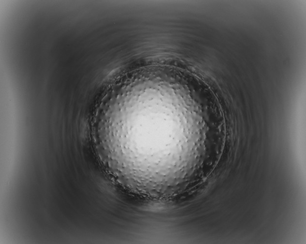 X0000086780708200704201824