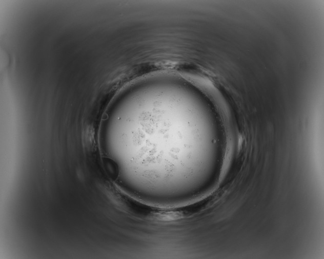 X0000086780711200704201824