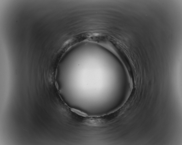 X0000086780712200704201824