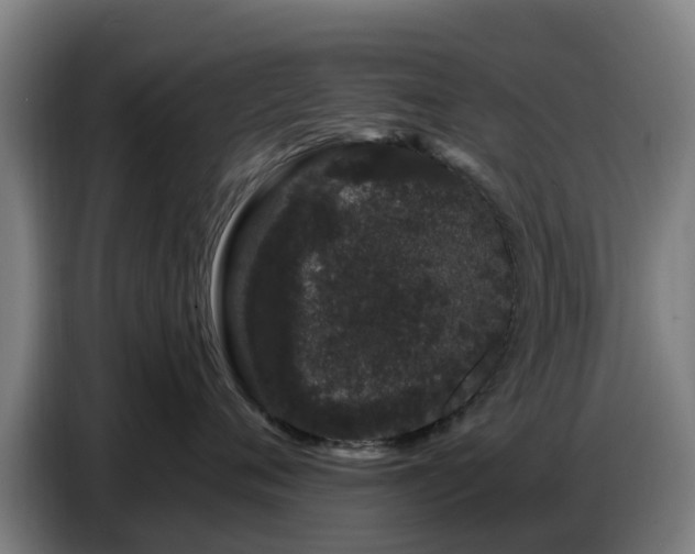 X0000086780720200704201824