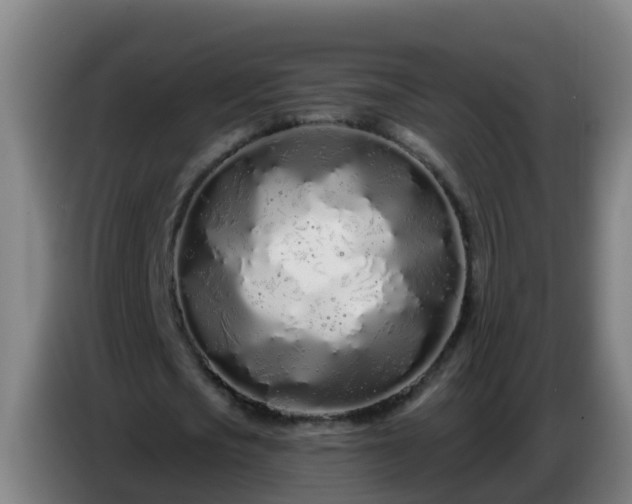 X0000086780721200704201823