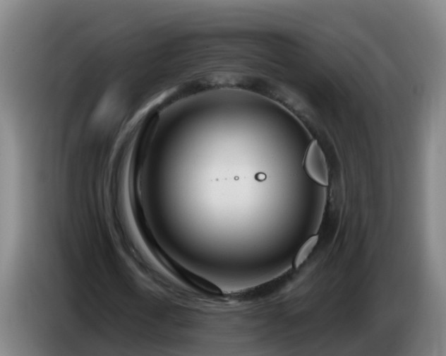 X0000086780722200704201823