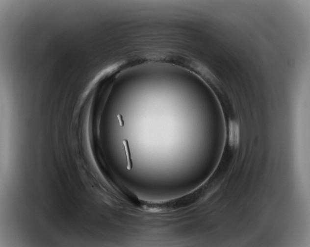 X0000086780723200704201823