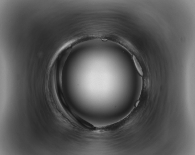 X0000086780724200704201823