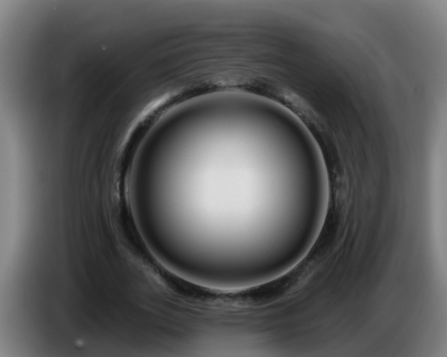 X0000086780727200704201823