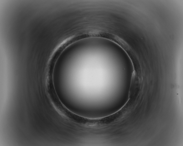 X0000086780728200704201823