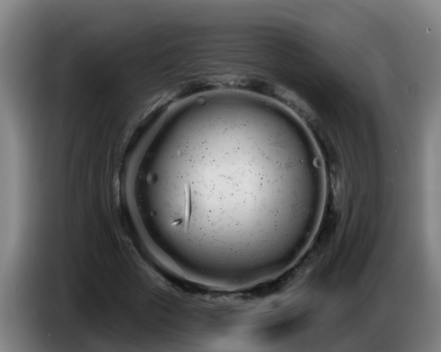 X0000086780729200704201823