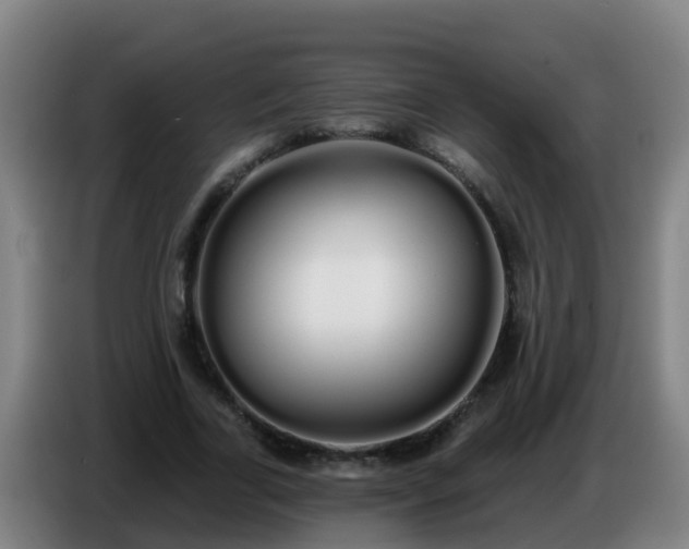 X0000086780731200704201823