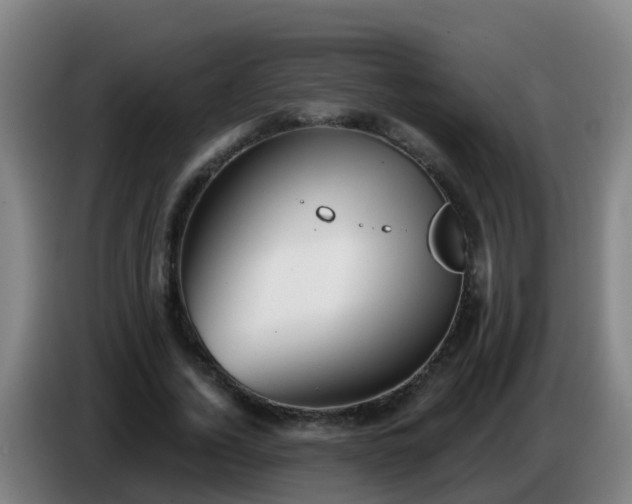 X0000086780732200704201823