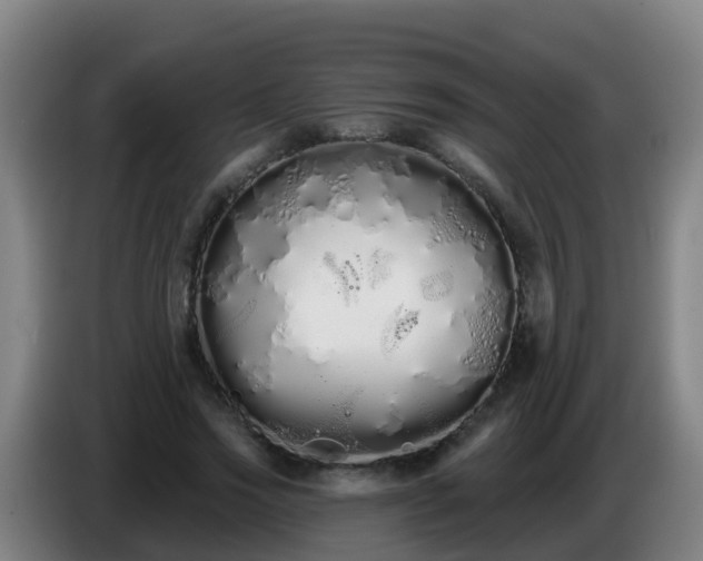 X0000086780733200704201823