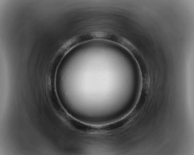 X0000086780734200704201823