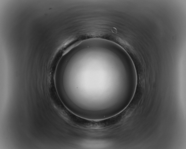 X0000086780735200704201823